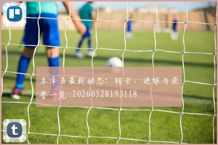 本泽马最新动态:转会、进球与荣誉一览_20260528193118