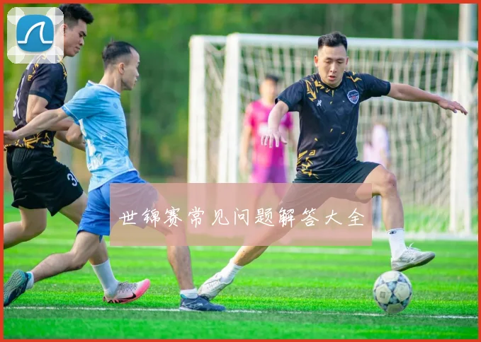 世锦赛常见问题解答大全